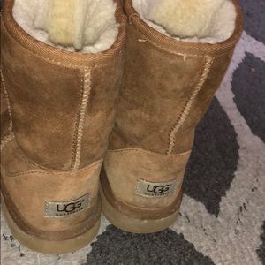 Chestnut uggs Sz 6 kids